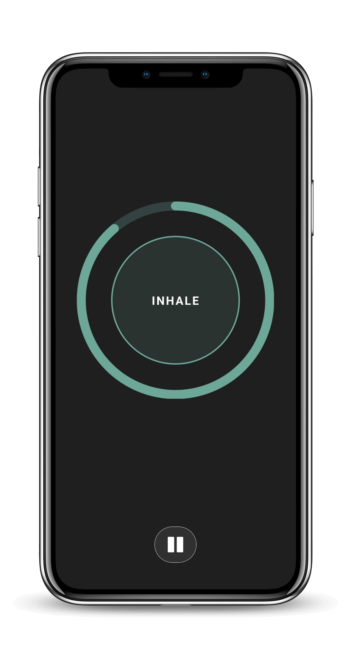 Daily training session — INHALE pacer